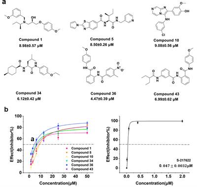 Identification of novel SARS-CoV-2 3CLpro inhibitors by molecular docking, in vitro assays, molecular dynamics simulations and DFT analyses